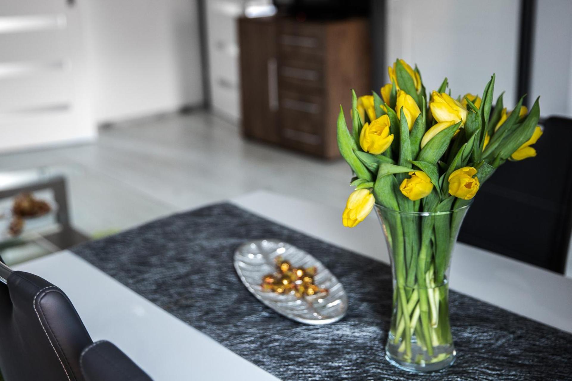 Apartament Szczesliwy Ustrzyki Dolne Εξωτερικό φωτογραφία