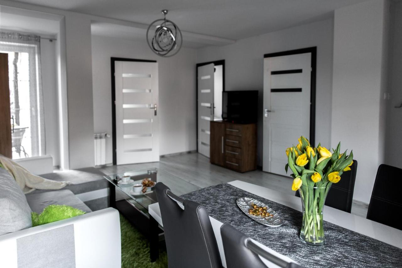 Apartament Szczesliwy Ustrzyki Dolne Εξωτερικό φωτογραφία